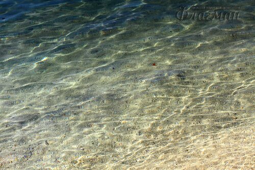 IMG_3549_r